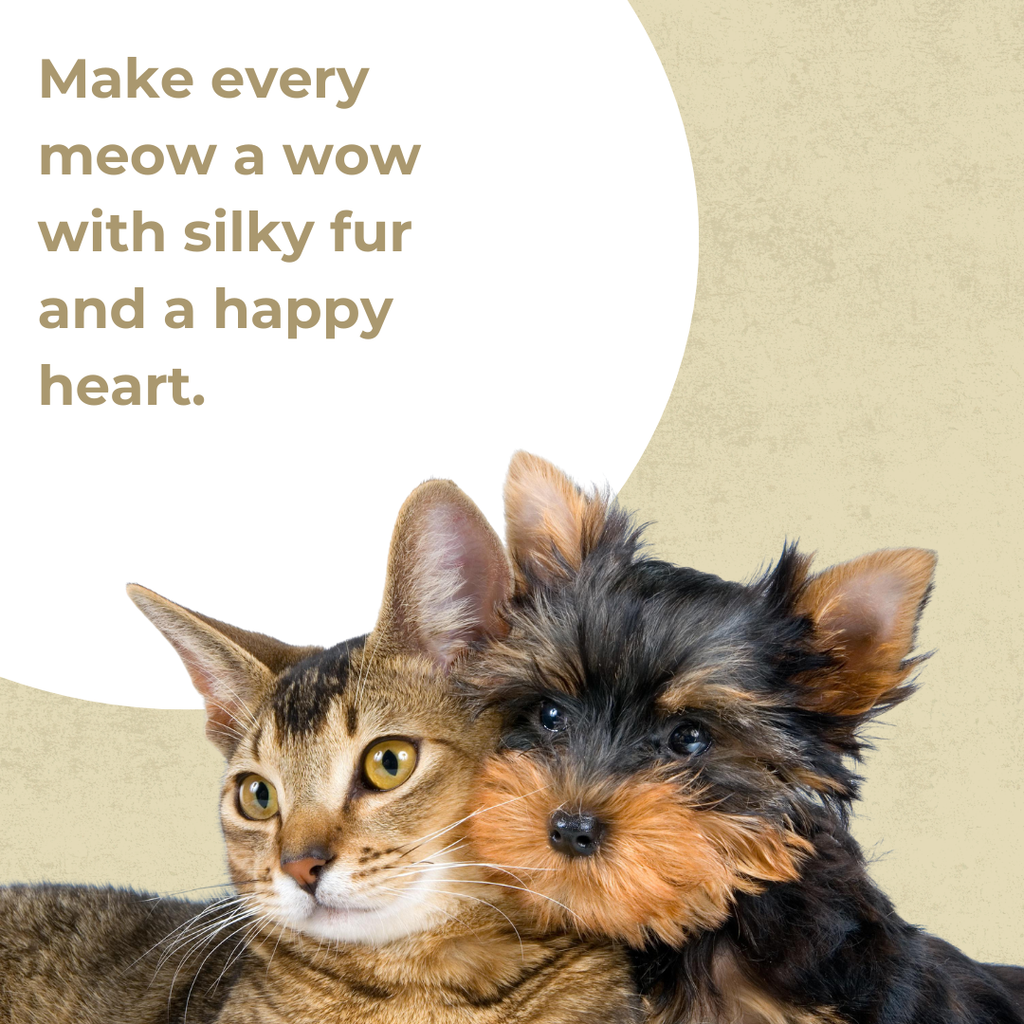 Cat Oatmeal Shampoo