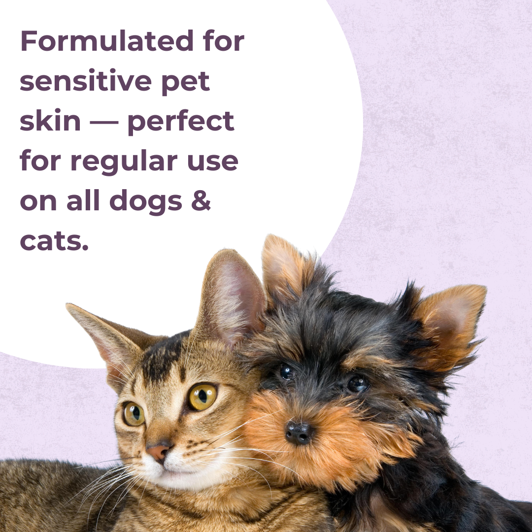 Tick and Flea Shampoo | 200ml