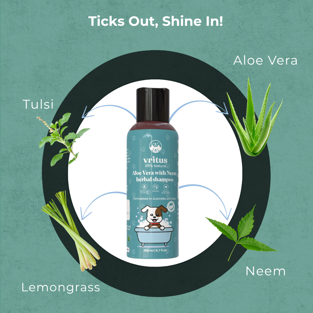 Aloe Vera With Neem Herbal Shampoo