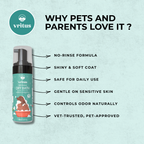Dry Bath Shampoo