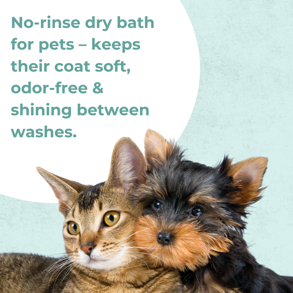 Dry Bath Shampoo