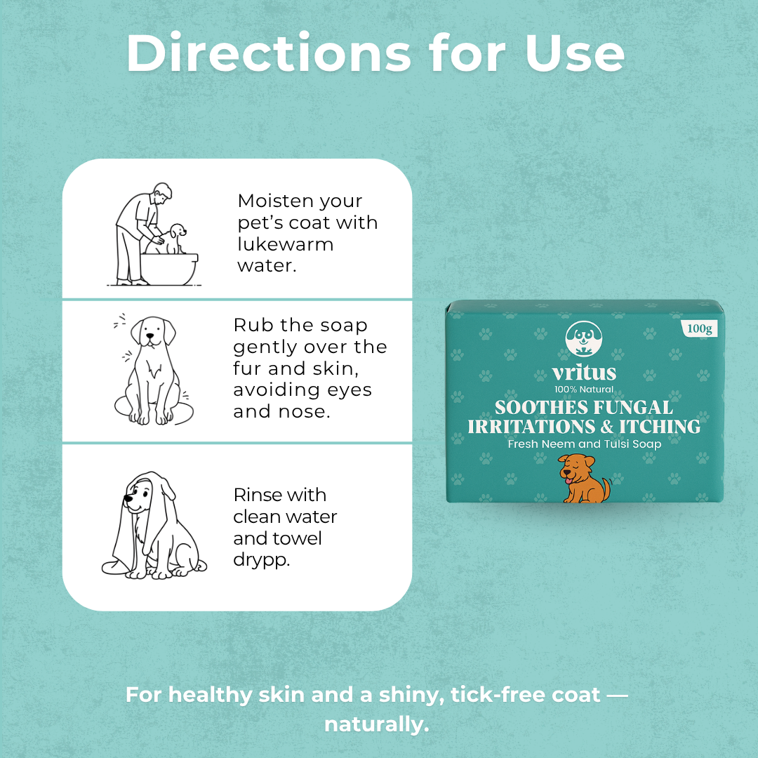 Fungal Irritation & Itching Soap | 100g