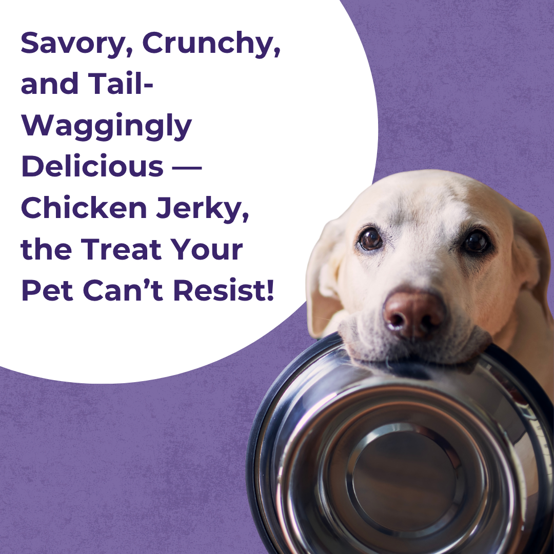 Chicken Jerky | Blueberry Flavour