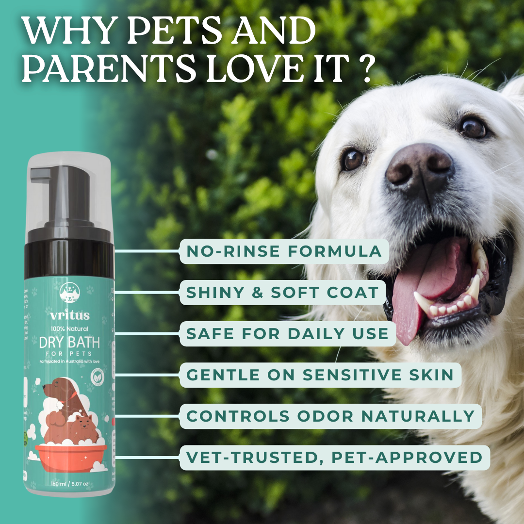Dry Bath Shampoo