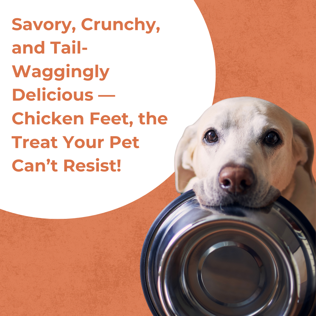 Dehydrated Chicken Feet  | 80g