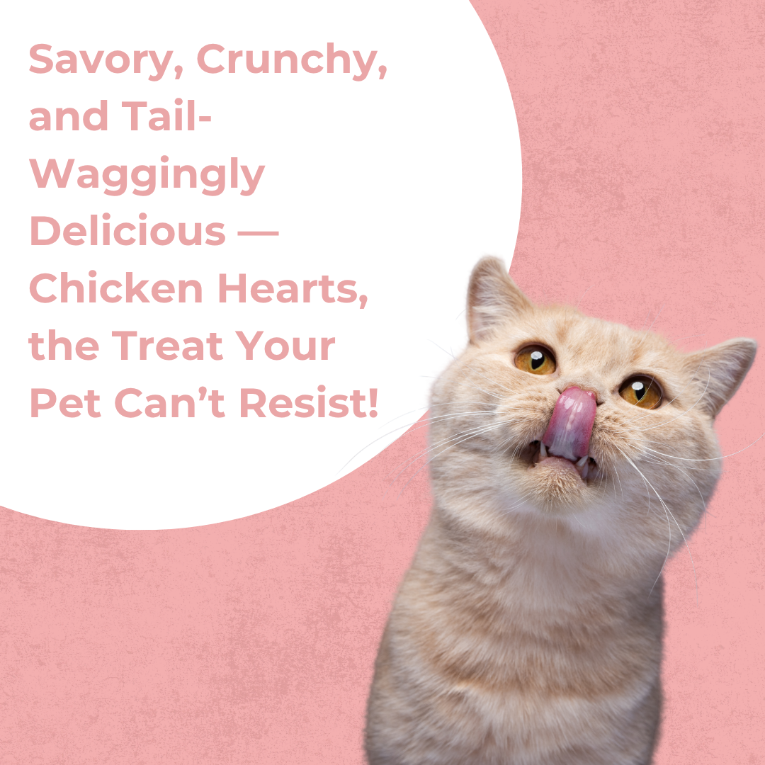 Chicken Bitss | Cat Treat | 60g