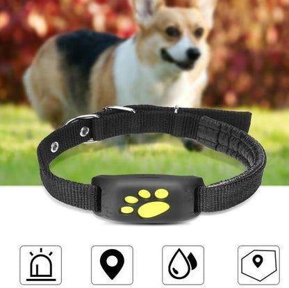GlowPaw Reflective LED Dog Collar