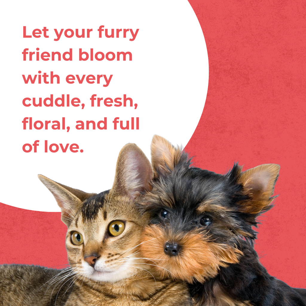 Pet Rose Perfume