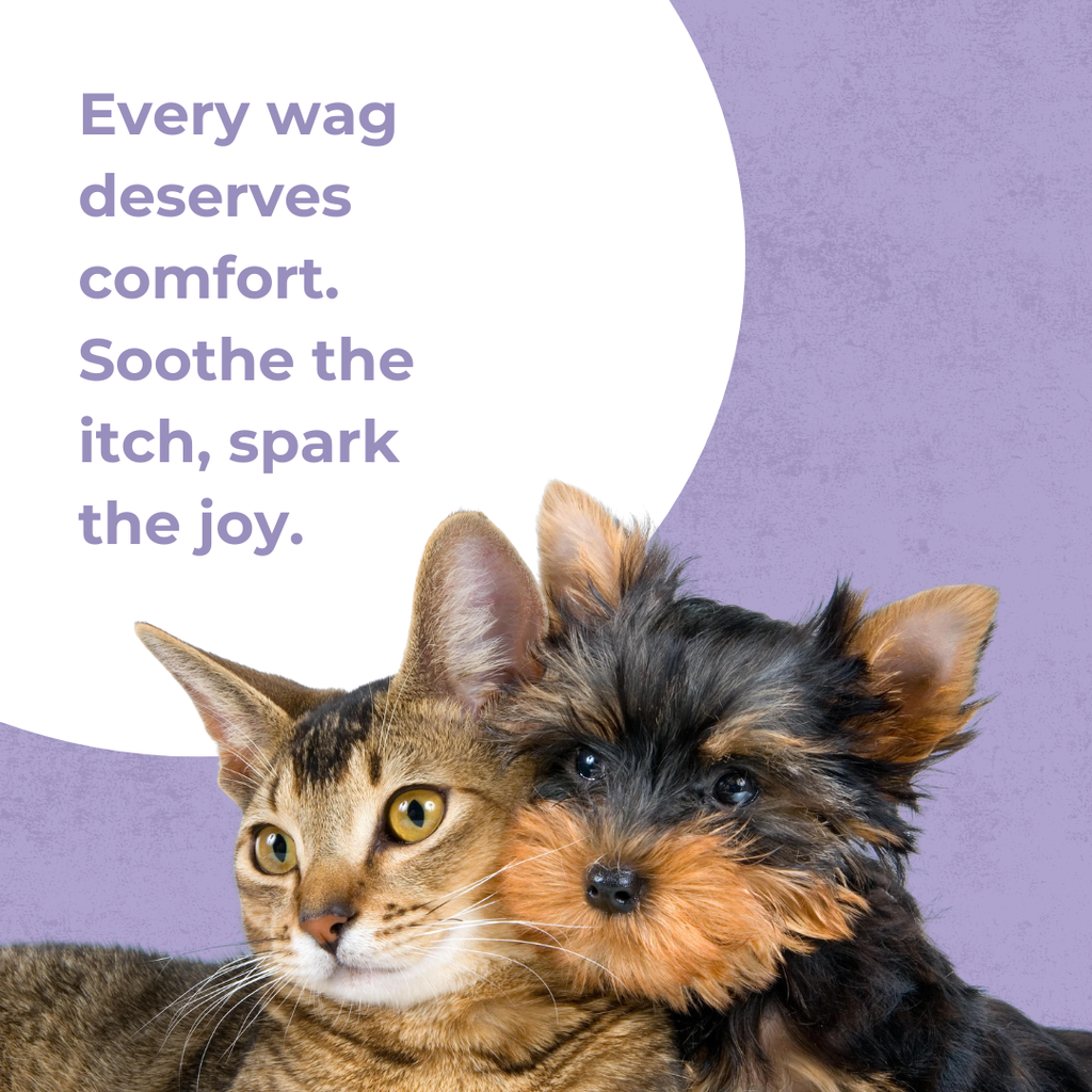 Itch Relief Spray