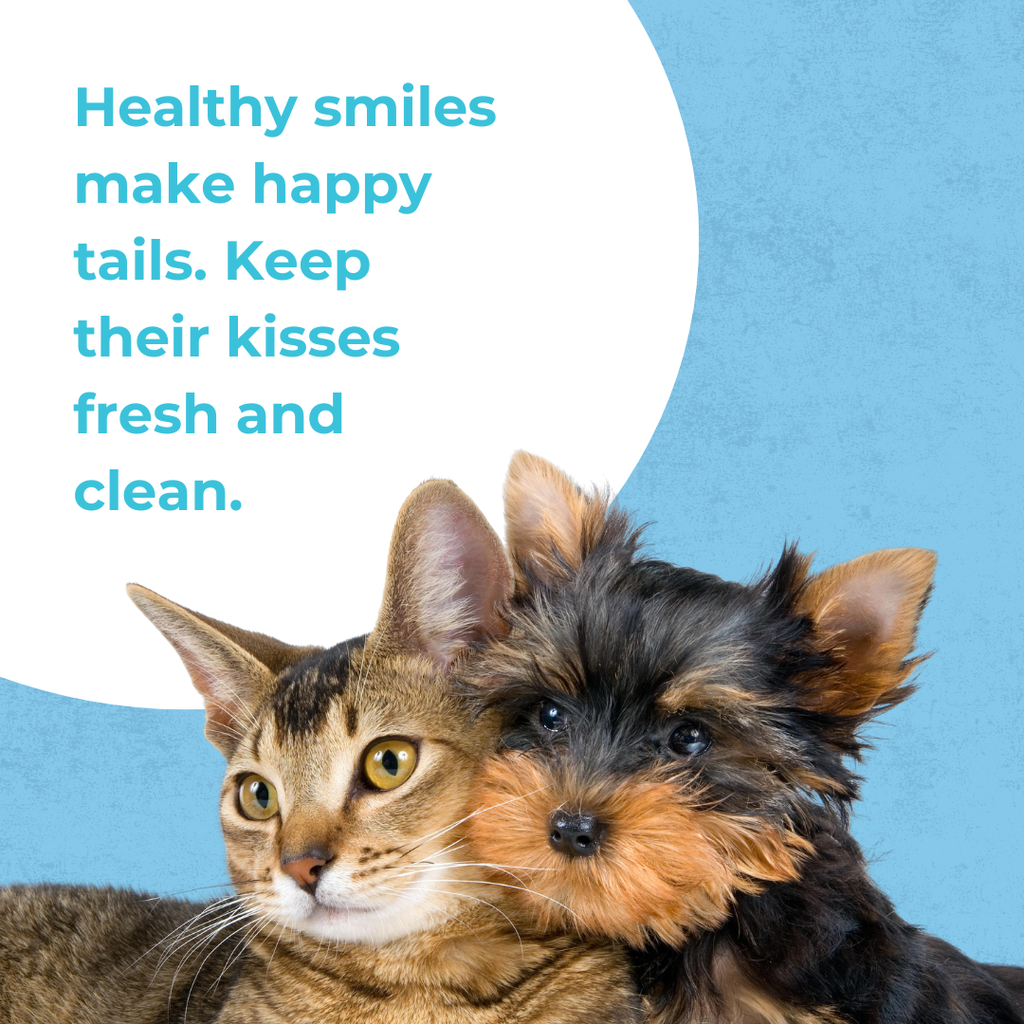 Pet Oral Spray