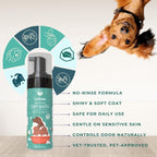Dry Bath & Tick - Flea Soap Combo