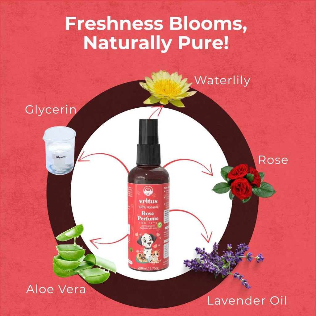 Pet Rose Perfume