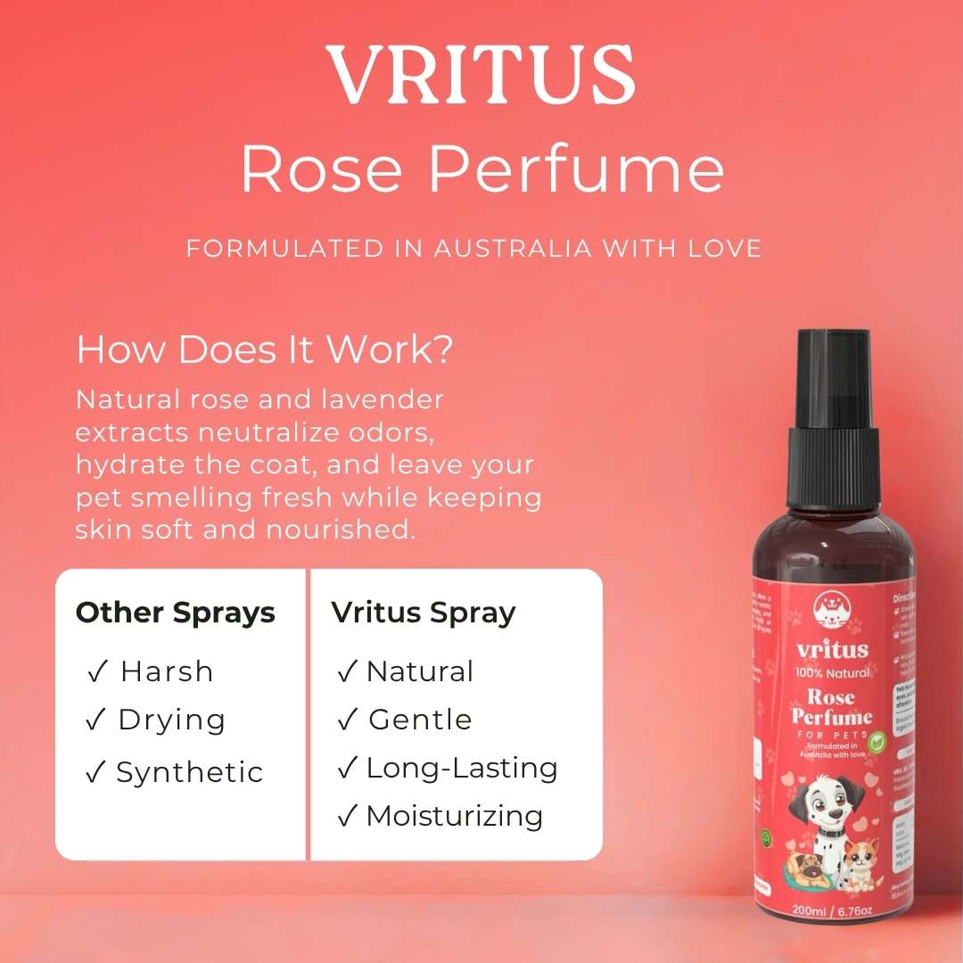 Pet Rose Perfume